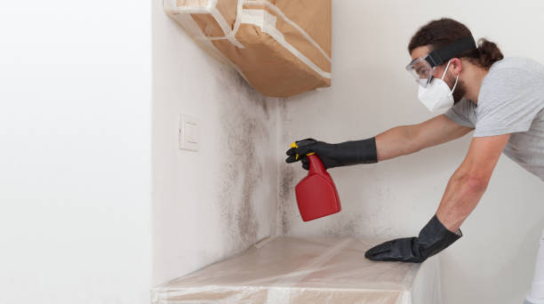 Professional Bathroom Mold Removal technician working in Katy, TX