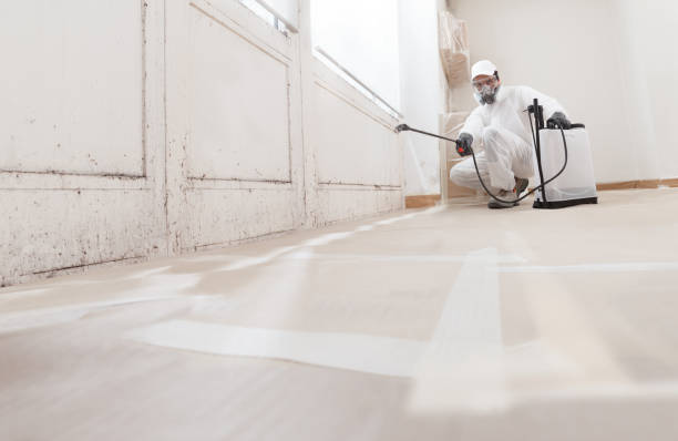 24/7 Emergency Bathroom Mold Removal experts in Katy, TX