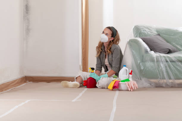 Reliable Bathroom Mold Removal contractor in Katy, TX by Mold Remediation HQ